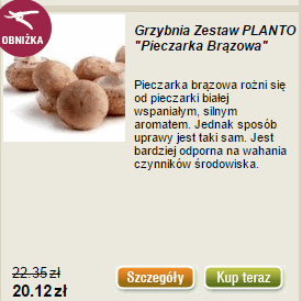 Pieczarka brązowa