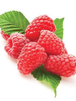 Malina Olbrzymia wczesna Plant Pack