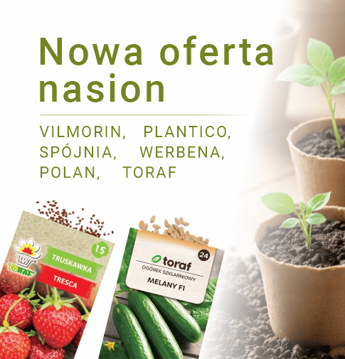 Nowa oferta nasion