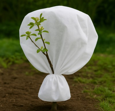 Wiosna pod znakiem przymrozków - jak chronić rośliny?