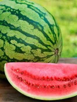 Arbuz Kawon Crimson Sweet 2g