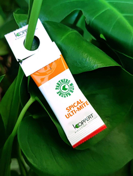 Dobroczynek kalifornijski Spical Ulti-Mite 100sasz.