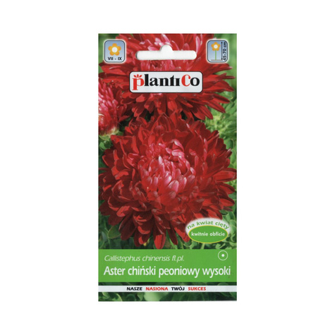 Aster chiński peoniowy karłowy Rita czerwony 1g