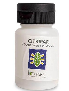 CITRIPAR 500 błonkówka do zwalczania wełnowca