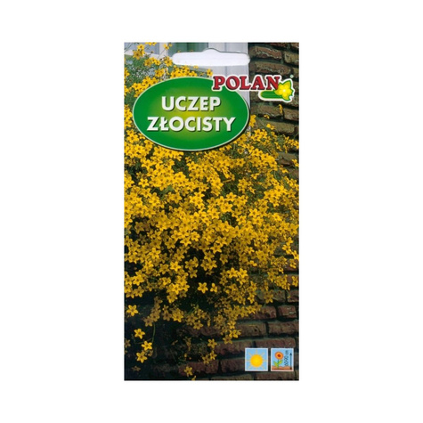 Uczep ZŁOCISTY ŻÓŁTY 0,2G