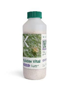 Dobroczynek szklarniowy Spidex 10000 500ML