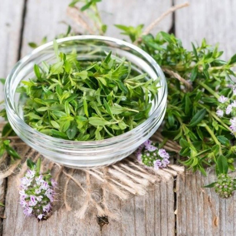 Cząber górski Czubryca Przyprawa (P9)