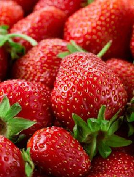 Truskawka Tresca 20 szt. nasion