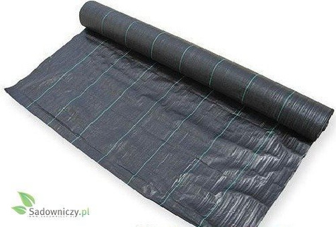 AGROTKANINA MATA 0,80m 100g/m2 UV Czarna