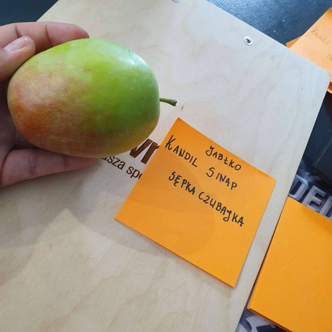 Jabłoń Kandil Sinap Sępka Czubajka Plant Pack