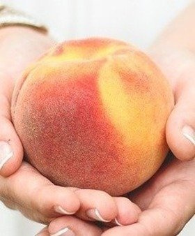 Brzoskwinia T5 OWOC WIELKOŚCI JABŁKA Plant Pack