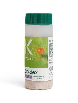 Dobroczynek szklarniowy Spidex 2000 100ML