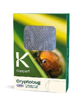 CRYPTOBUG L 1000 - Biedronka wełnowcowa