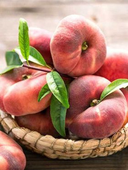 Brzoskwinia płaskoowocowa Saturn Plant Pack