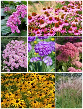 Zestaw Rabata Cztery Pory Roku