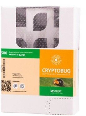  CRYPTOBUG 500 - Biedronka wełnowcowa 