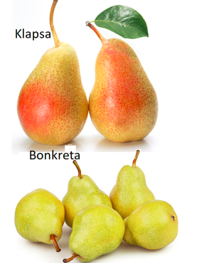 Duo Grusza Klapsa + Bonkreta Plant Pack 