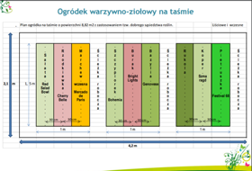 Łatwy wysiew Ogródek warzywno-ziołowy