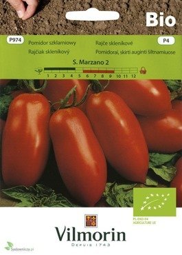 Pomidor szklarniowy Marzano - nasiona ekologiczne BIO