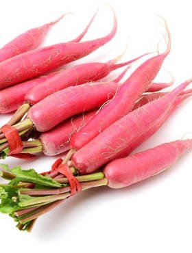 Rzodkiew podłużna Ostergriz Rosa 2 różowa 10g