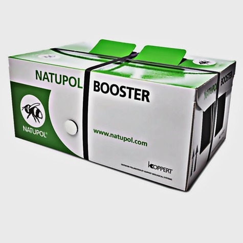 Booster Natupol Trzmiele do upraw krótko kwitnących  