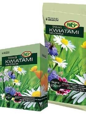 Łąka kwietna Mieszanka traw Kwiatami Malowana 1kg