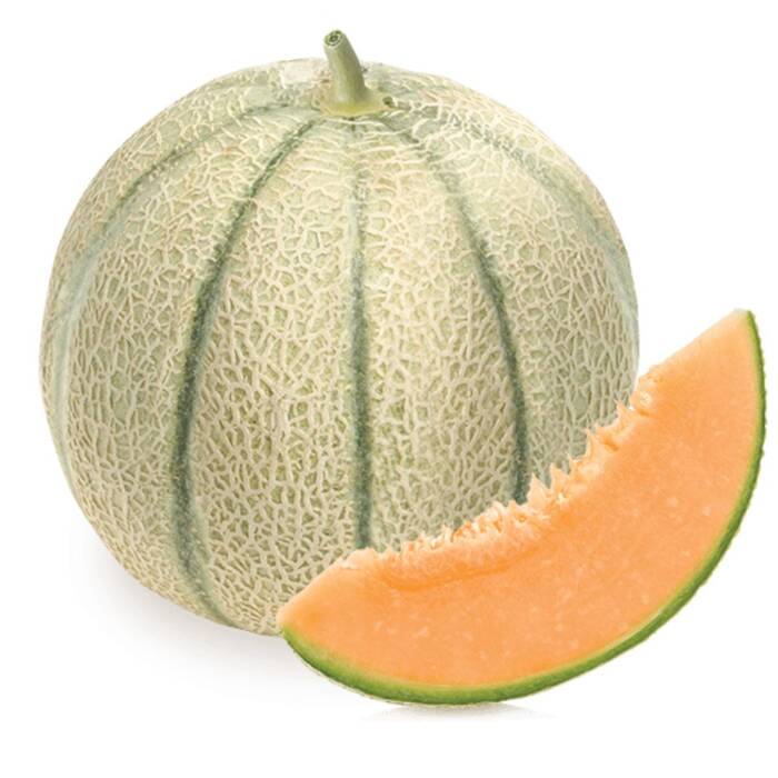 Melon Charentais wczesny 1g