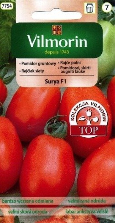 Pomidor gruntowy karłowy Surya 0,2g