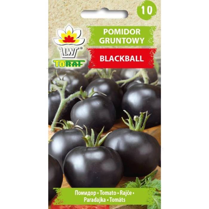 Pomidor gruntowy wysoki Blackball 0,3g