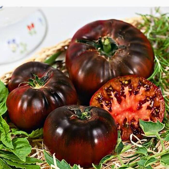 Pomidor gruntowy wysoki Noire de Crimee 0,5g